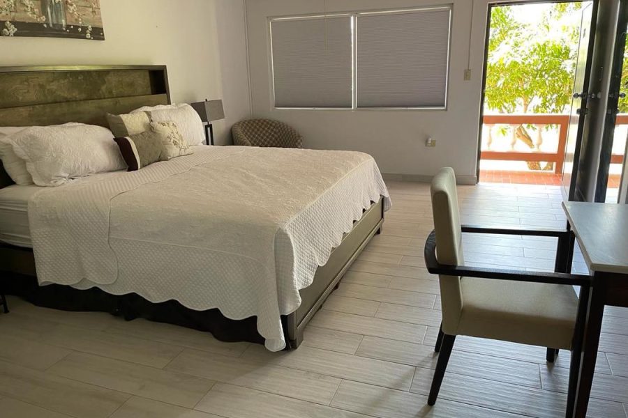 Deluxe Studio with Patio no full kitchen